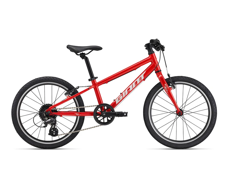 Giant ARX 20