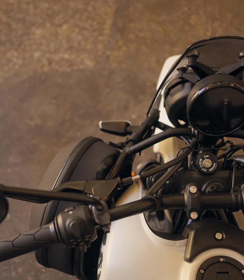 Borse Laterali Serbatoio Himalayan 450
