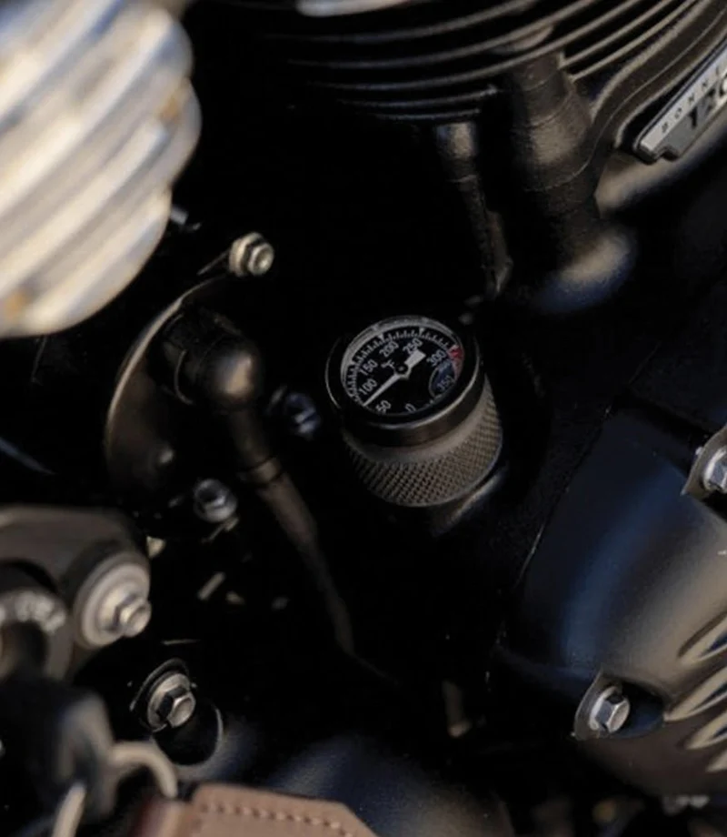 Sensore Temperatura per Triumph dal 2001 al 2015