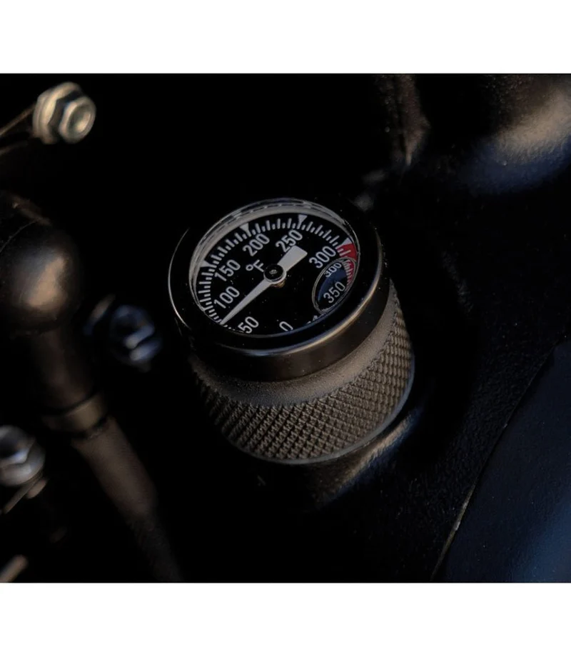 Sensore Temperatura per Triumph dal 2016