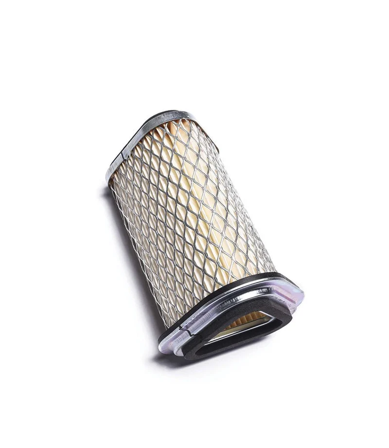 Filtro Aria per Interceptor / Continental GT / Bear 650 - Ricambio Originale