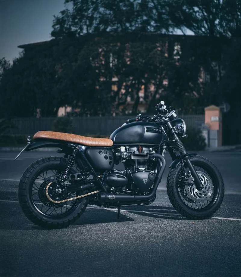 Terminali di Scarico per Triumph Street Twin 900 - Zard