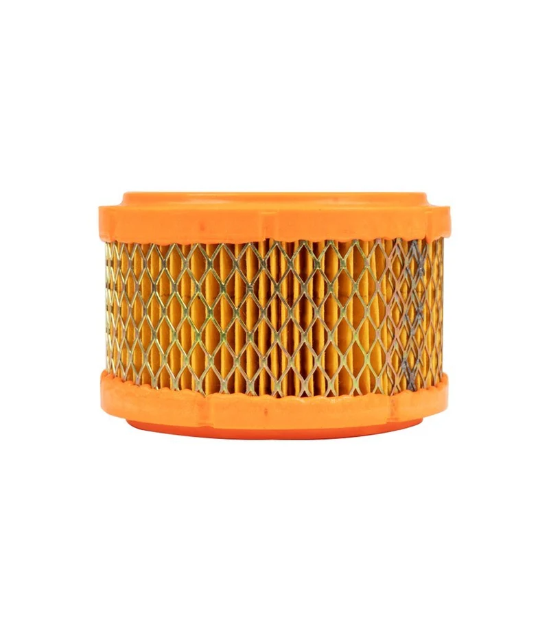 Filtro Aria per Classic 500 Royal Enfield - Ricambio Originale