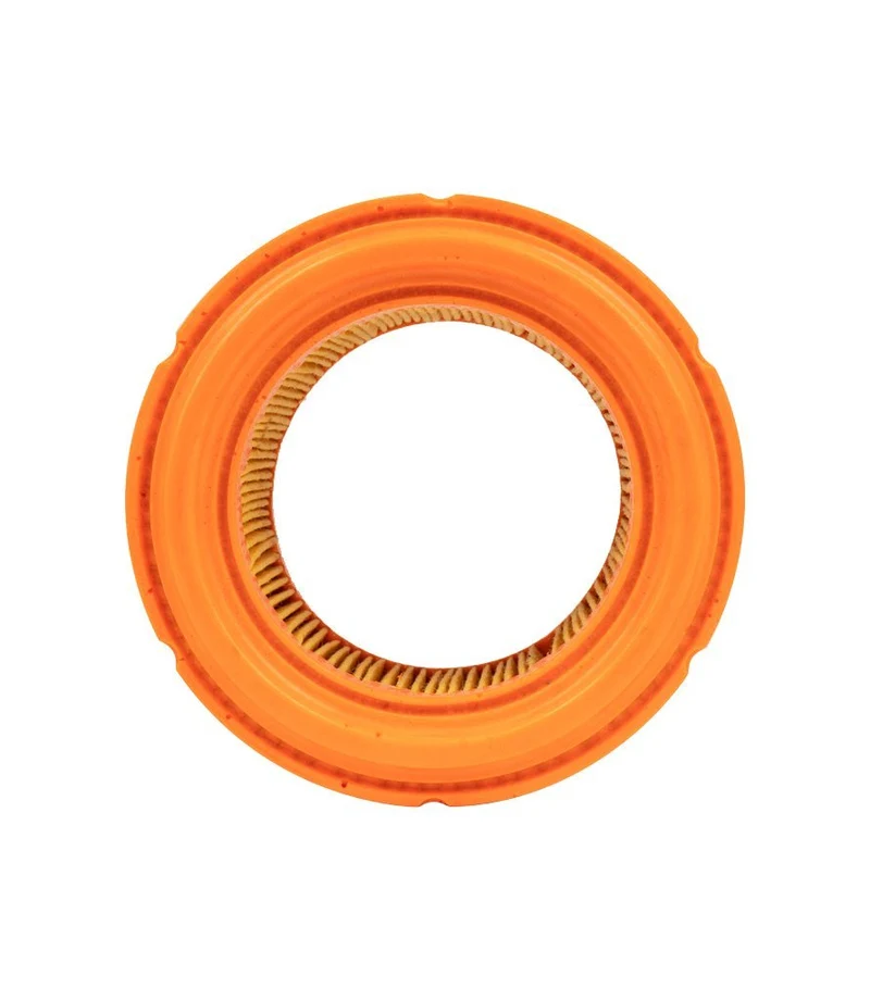 Filtro Aria per Classic 500 Royal Enfield - Ricambio Originale