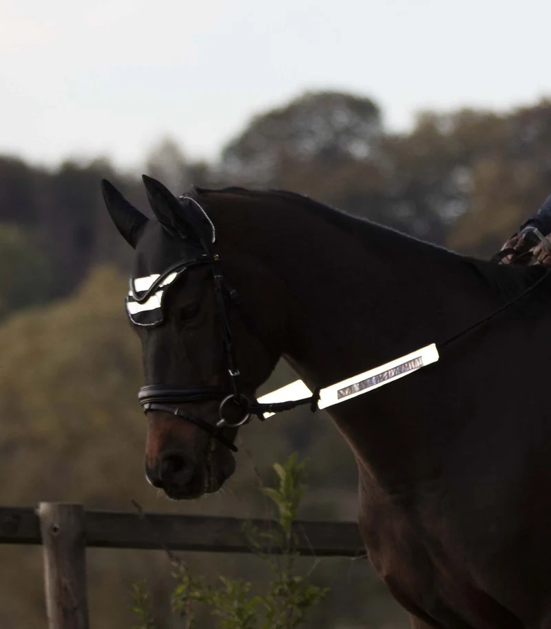 Reflex Reflective Bridle Set