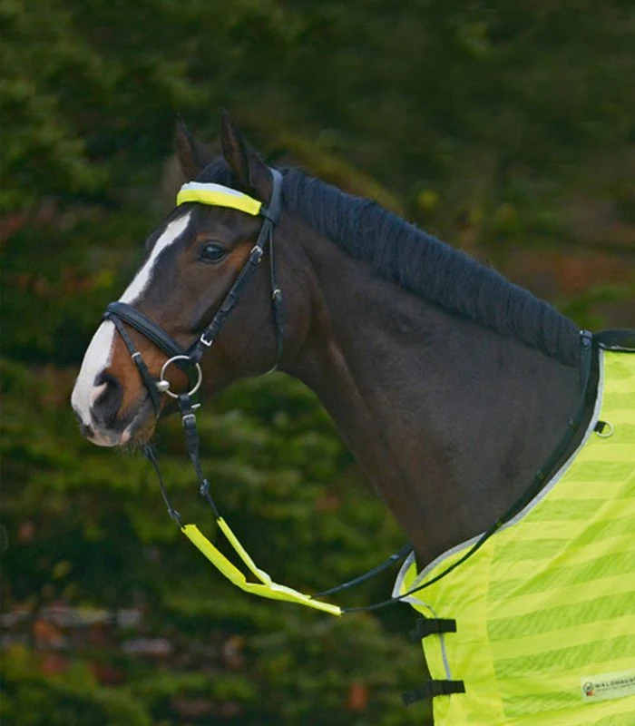 Reflex Reflective Bridle Set