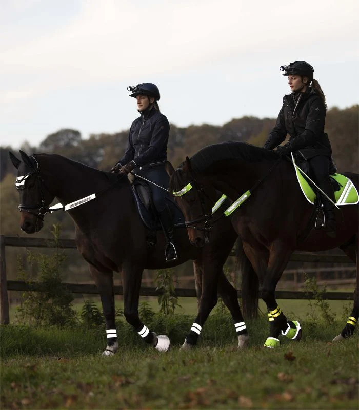 Reflex Reflective Bridle Set
