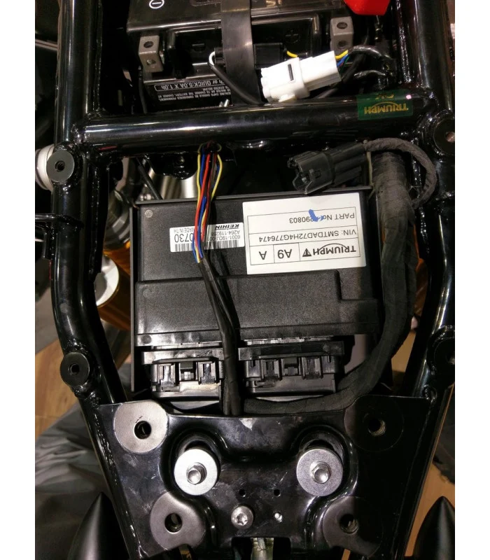 Kennzeichenhalter Triumph Thruxton 1200RS