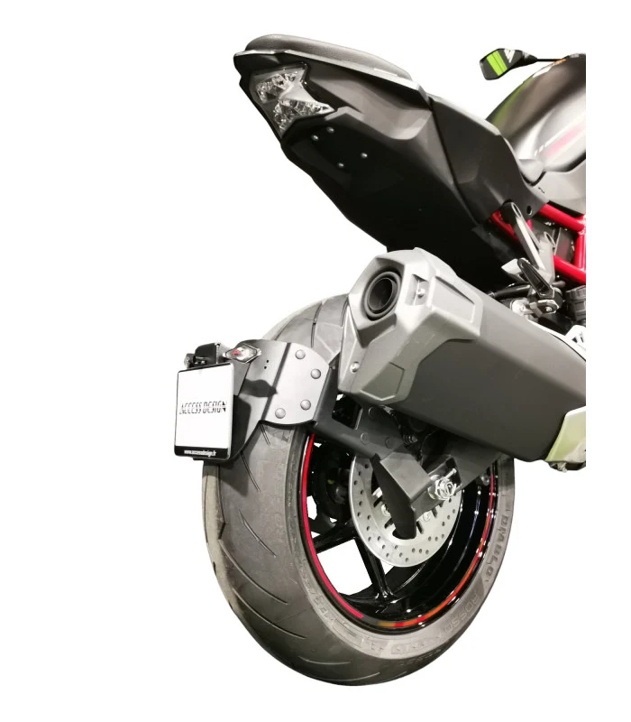 Kawasaki Z H2 Radspülplattenhalterung