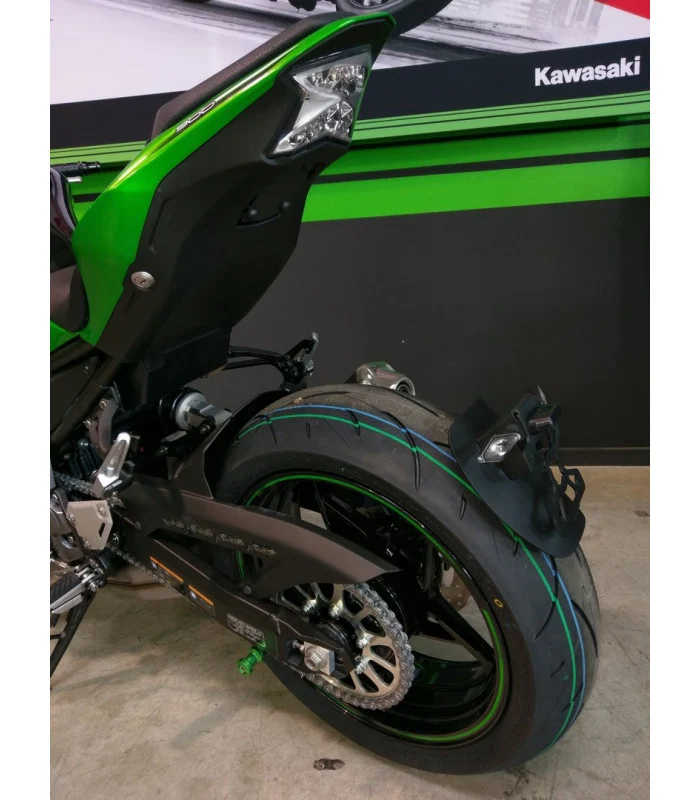 Kawasaki Z900 Radspülplattenhalterung