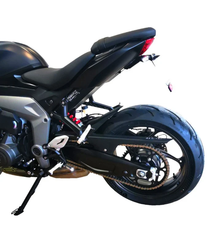 Kennzeichenhalter Triumph Daytona 660