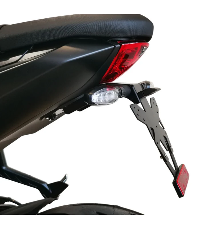 Kennzeichenhalter Triumph Daytona 660