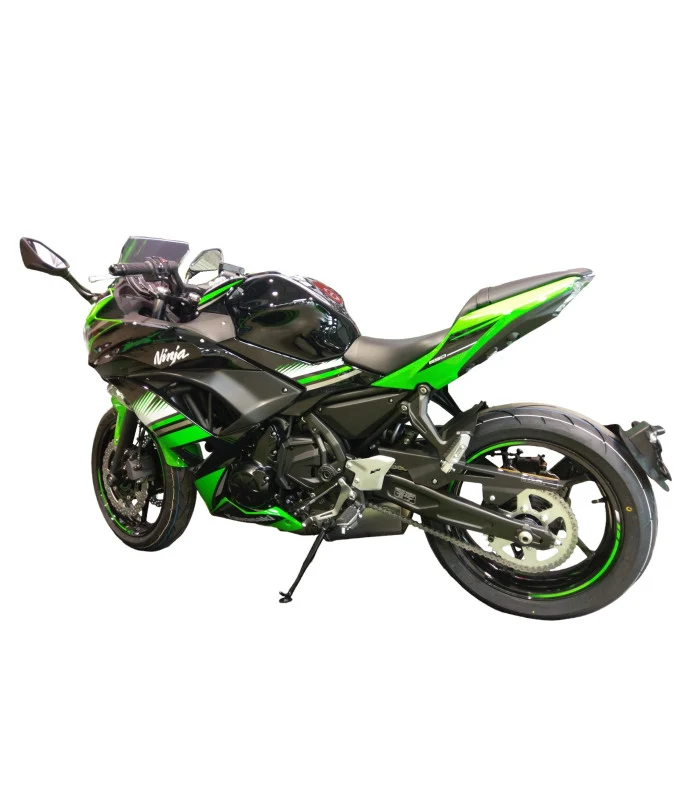 Kawasaki Ninja 650 Radspülplattenhalterung