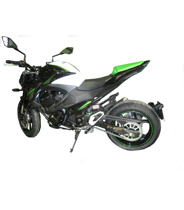 Kawasaki Z750 Radspülplattenhalterung