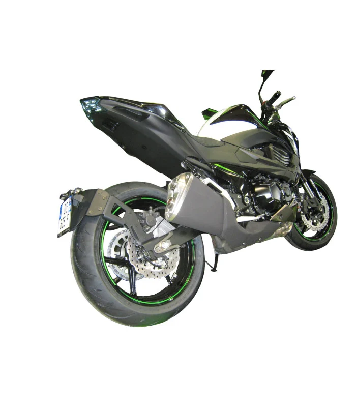 Kawasaki Z800 Radspülplattenhalterung