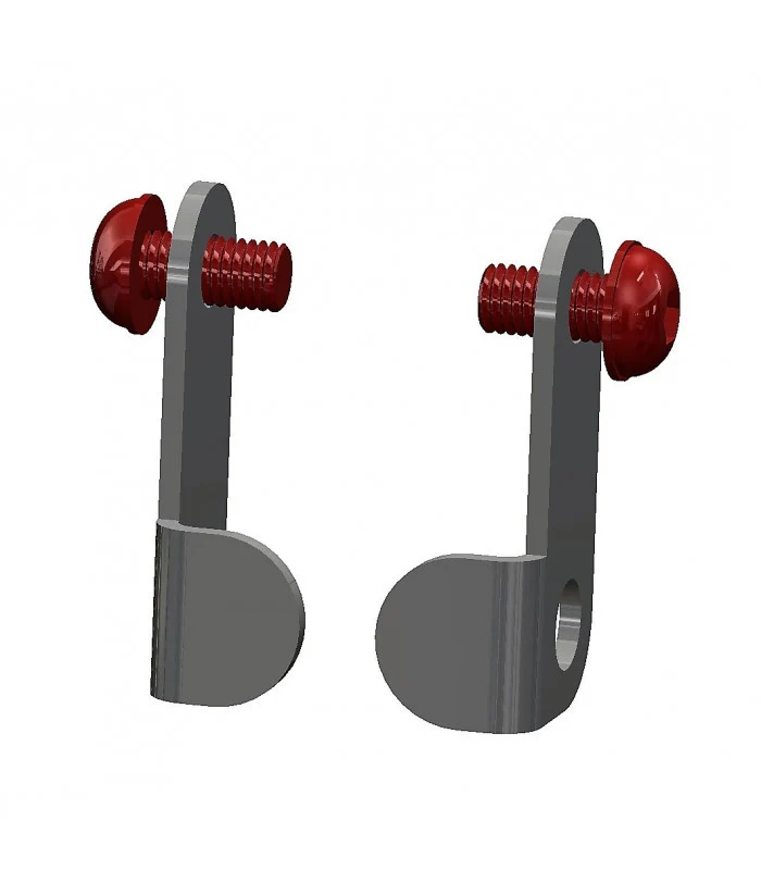 Indian FTR 1200 Seitenplattenhalter