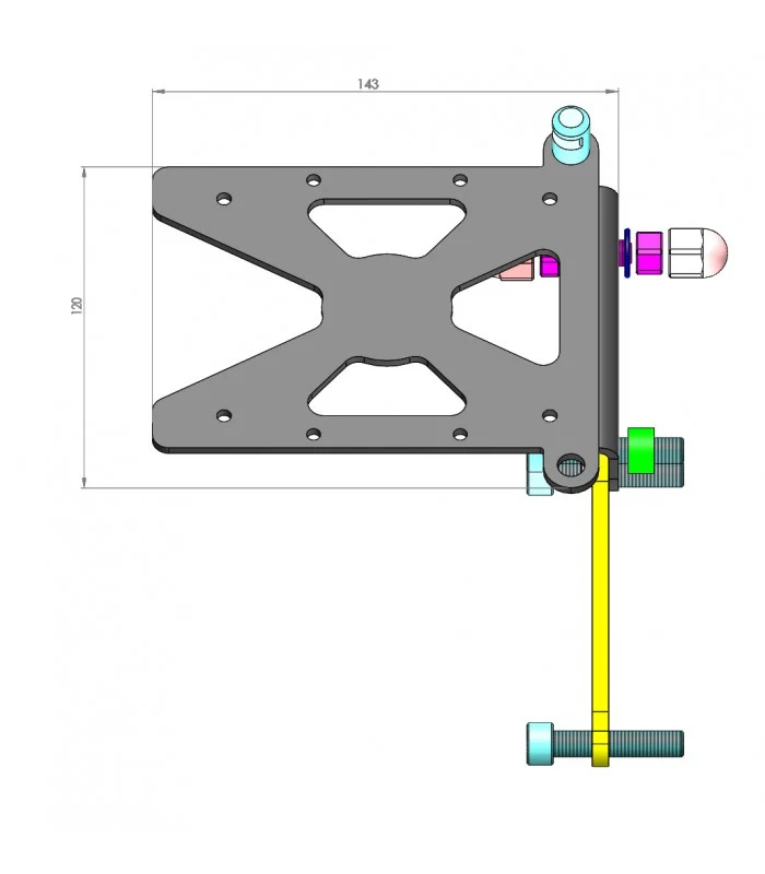 Indian FTR 1200 Seitenplattenhalter
