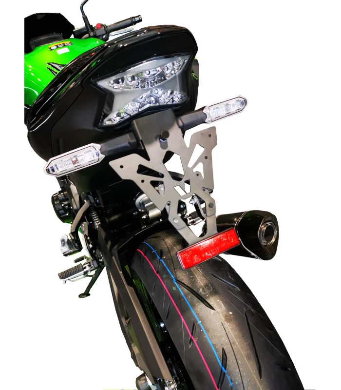 Kawasaki Z900 Kennzeichenhalter