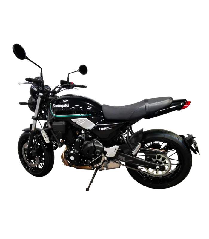 Kawasaki Z650 RS Radspülplattenhalterung