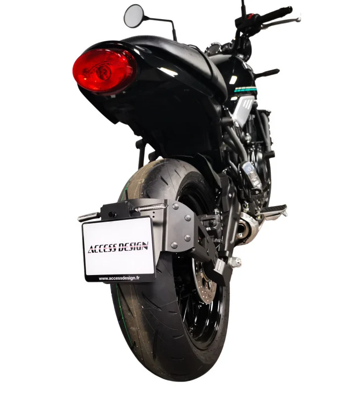 Kawasaki Z650 RS Radspülplattenhalterung