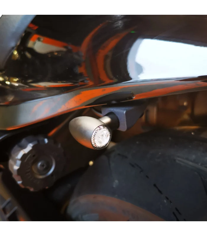 Harley-Davidson Sportster S 1250 Seitenplattenhalter
