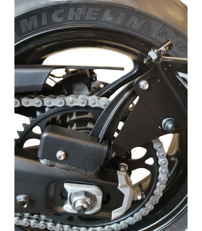 Seitenplattenhalter Triumph Trident 660