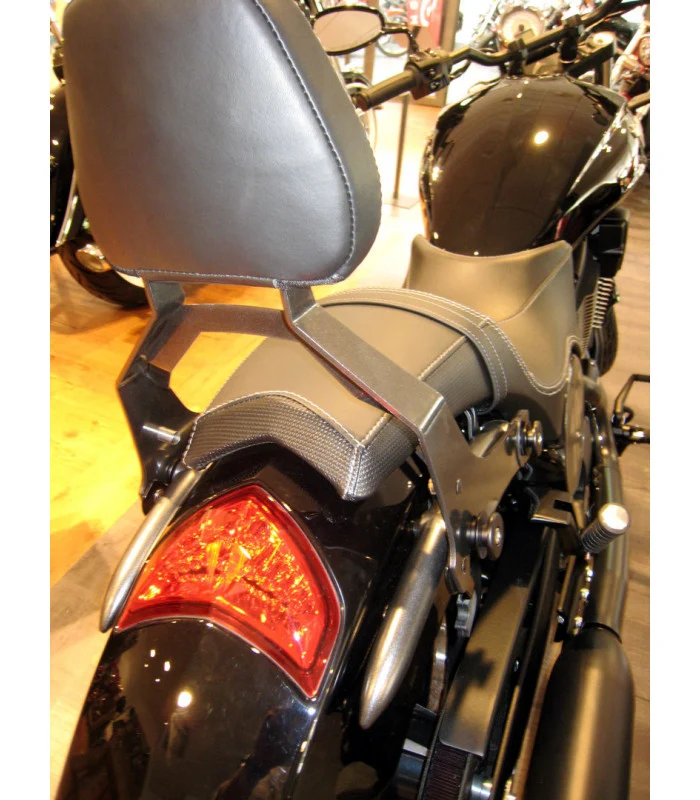 Sissybar-Aufsatz für Victory Gunner-Tasche