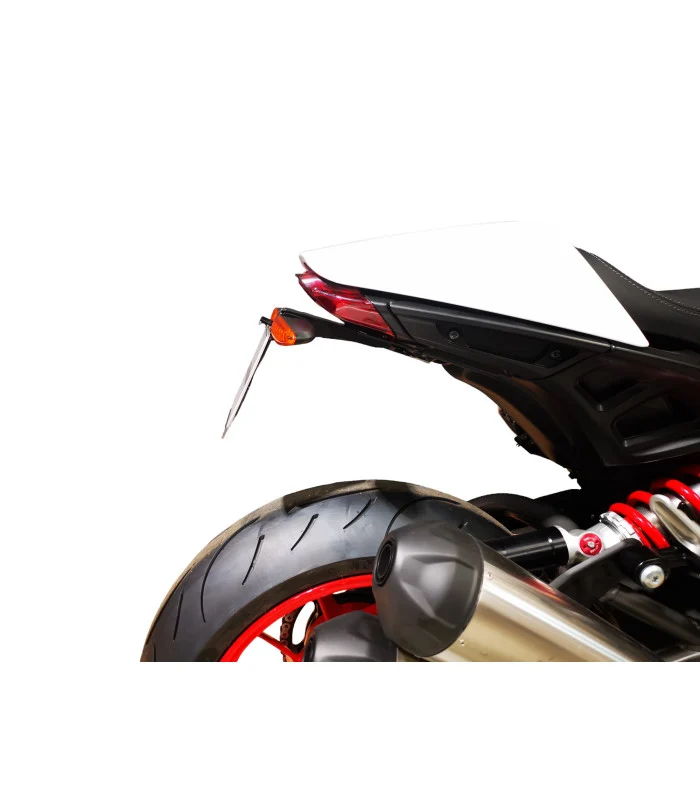 Indian FTR 1200 RALLY Kennzeichenhalter