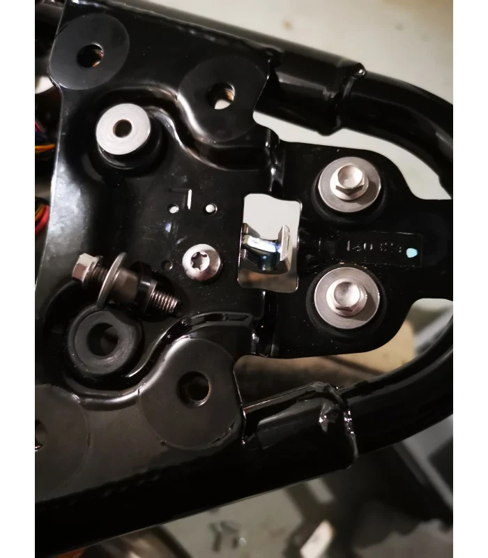 Kennzeichenhalter Triumph Thruxton 1200