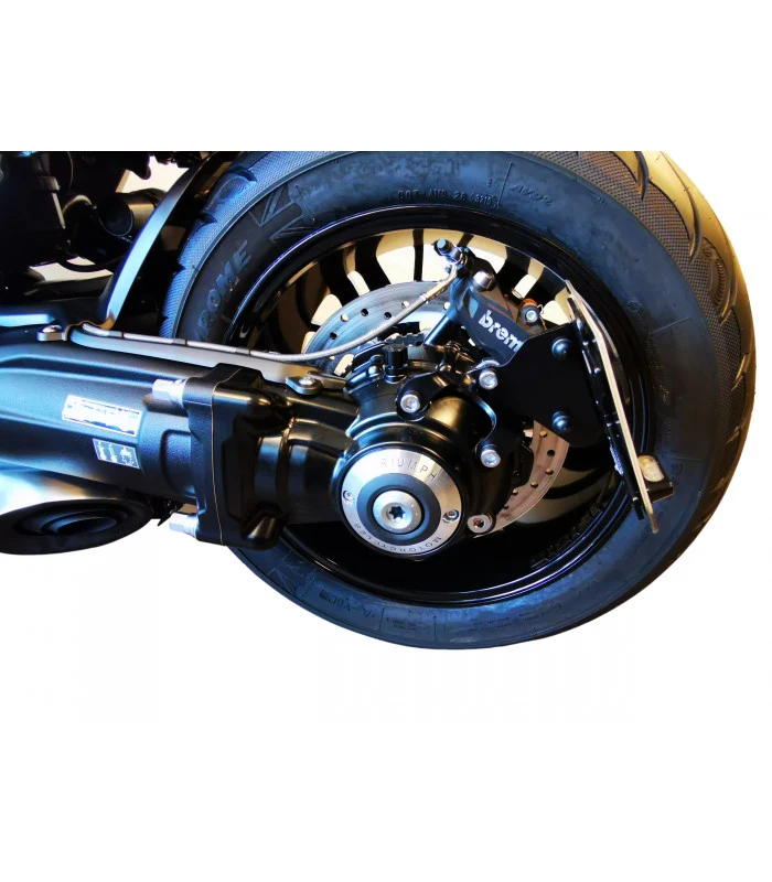 Seitenplattenhalter Triumph Rakete 3R