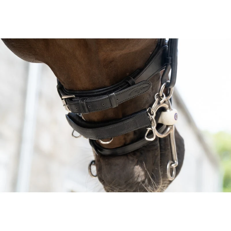 Chain Protection