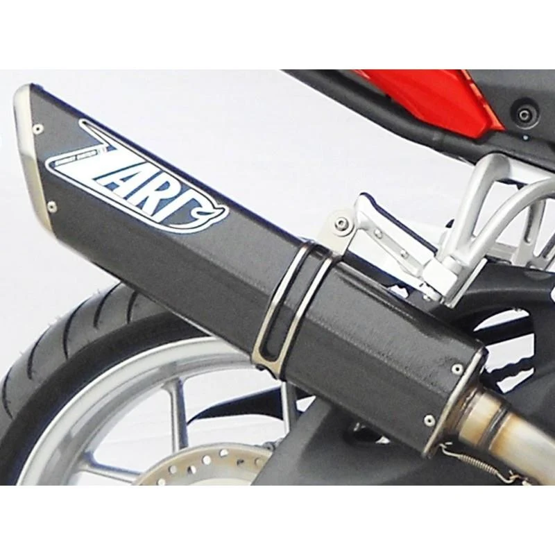 Zard Edelstahl niedriger Auspuff Triumph Tiger 1050