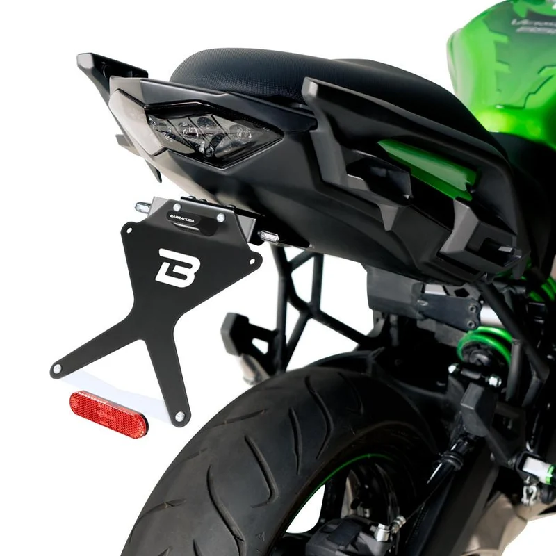 PLATTENHALTER Kawasaki Versys 650