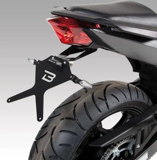 PLATTENHALTER Yamaha XJ6