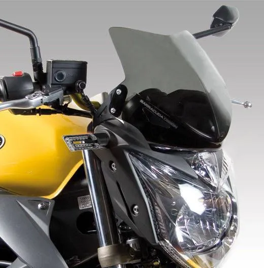 WINDSCHIRM Yamaha XJ6