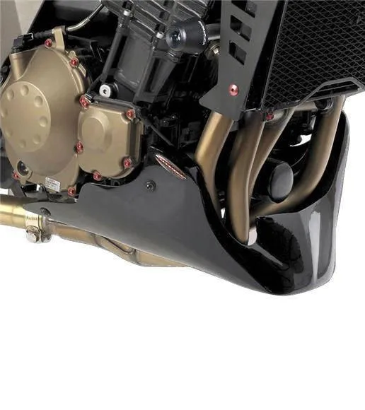 Kawasaki Z750 Motorschutz