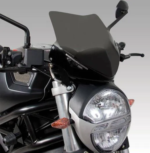 WINDSCREEN Ducati Monster 696/796