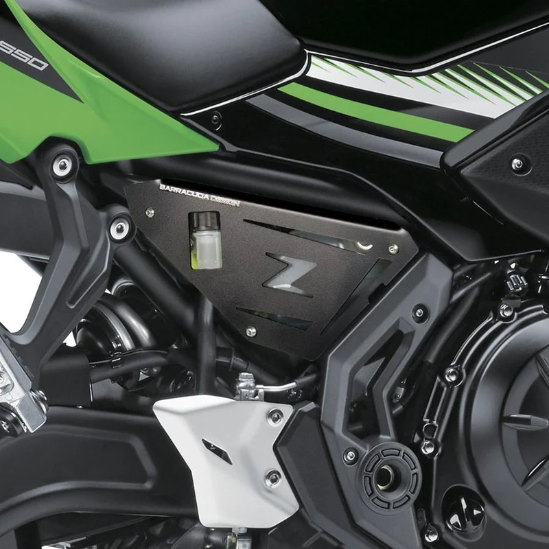 SEITENSCHUTZ Kawasaki Ninja / Z650