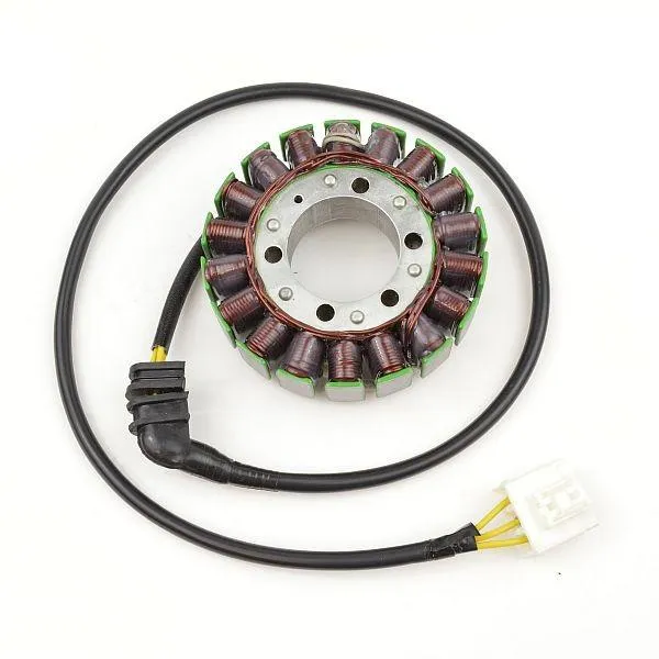 Original anpassbare Lichtmaschine HONDA BR1100XX Blackbird ELECTROSPORT