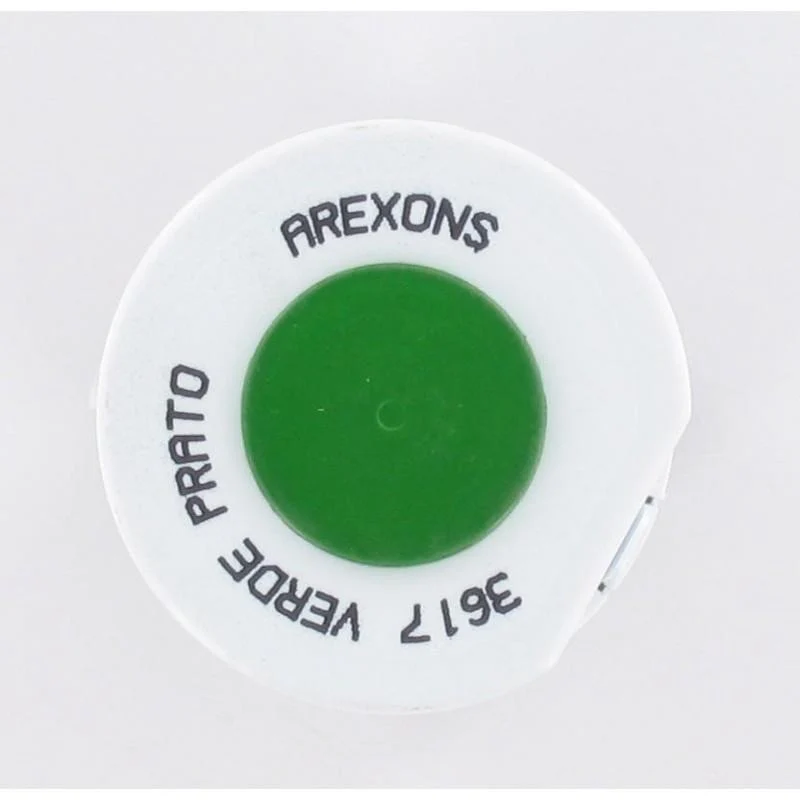 Arexons grasgrünes Acrylfarbenspray - 400ml