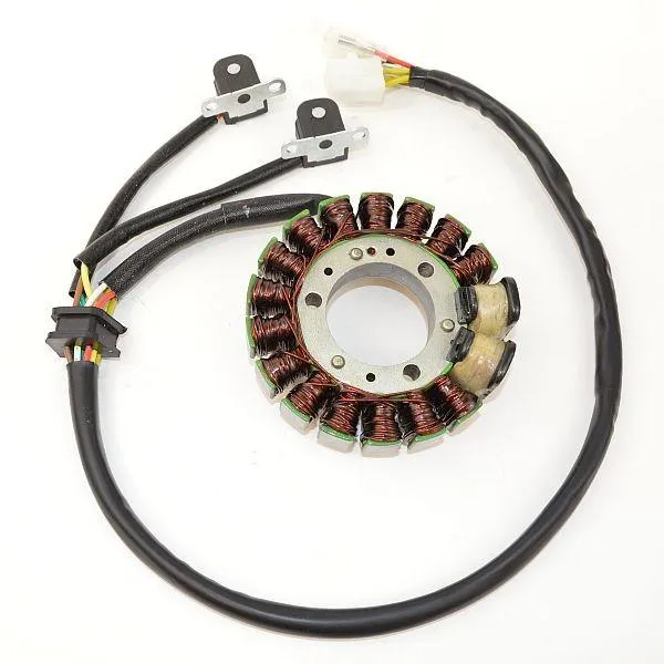 Original anpassbare Lichtmaschine SUZUKI DR350 / S ELEKTROSPORT