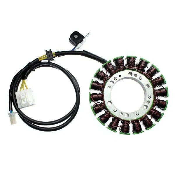 Original anpassbare Lichtmaschine SUZUKI AN650 Burgman ELEKTROPORT