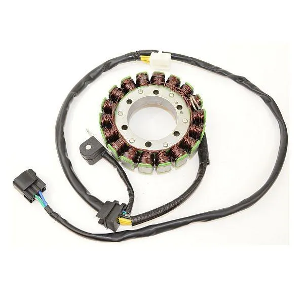 Original anpassbare Lichtmaschine SUZUKI DR650 ELEKTROSPORT