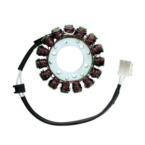 Original anpassbare Lichtmaschine SUZUKI GSX-R1000 ELEKTROPORT
