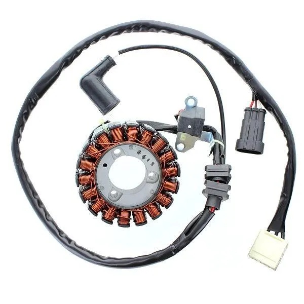 Original anpassbare Lichtmaschine APRILIA / PIAGGIO ELECTROSPORT
