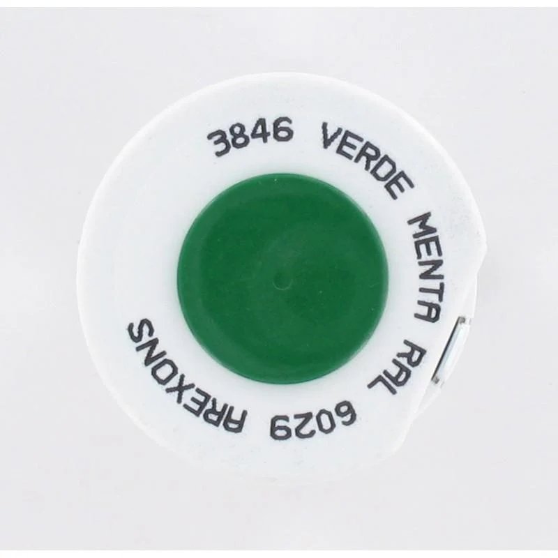 Sprühfarbe für Metalle Brilliant mintgrün RAL 6029 - 400 ml