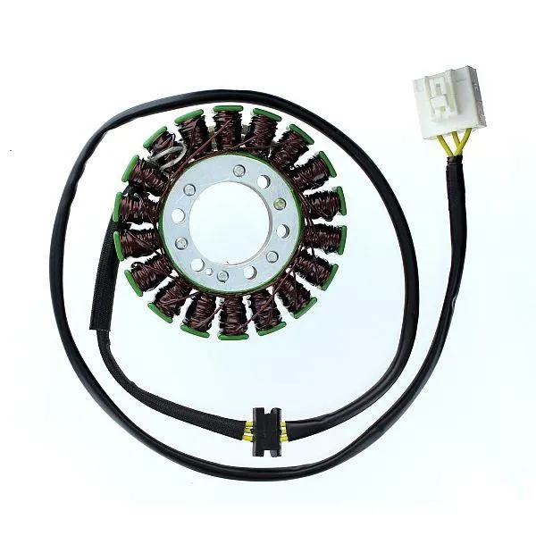 Original anpassbare Lichtmaschine KAWASAKI Ninja 250R ELECTROSPORT