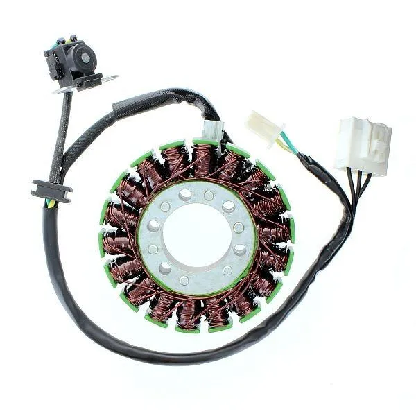 Original anpassbare Lichtmaschine KAWASAKI Ninja 300 / ABS / Z300 / ABS ELEKTROSPORT