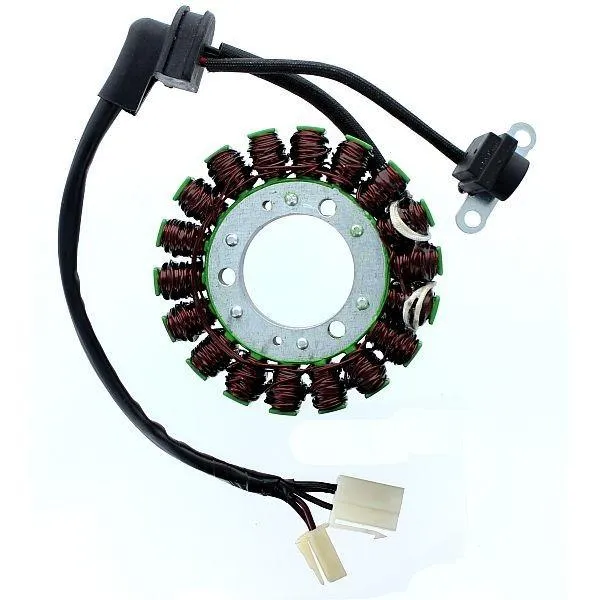 Original anpassbare Lichtmaschine SUZUKI GSF / GSX ELEKTROSPORT