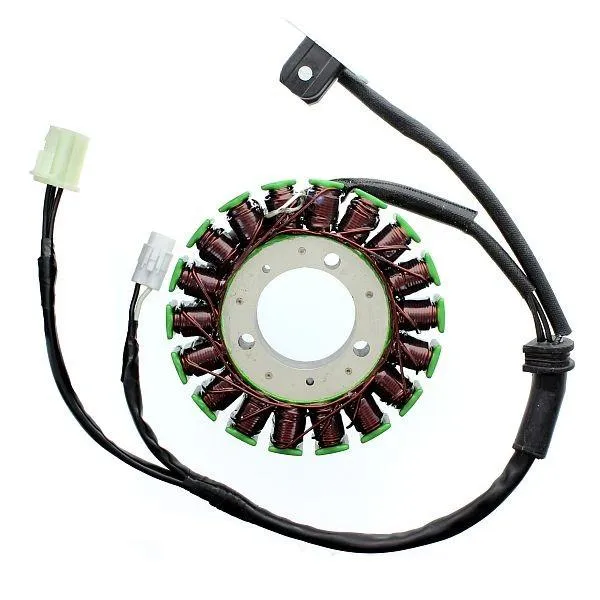 Original anpassbare Lichtmaschine TRIUMPH Daytona / Street Triple ELEKTROSPORT OEM T1300039